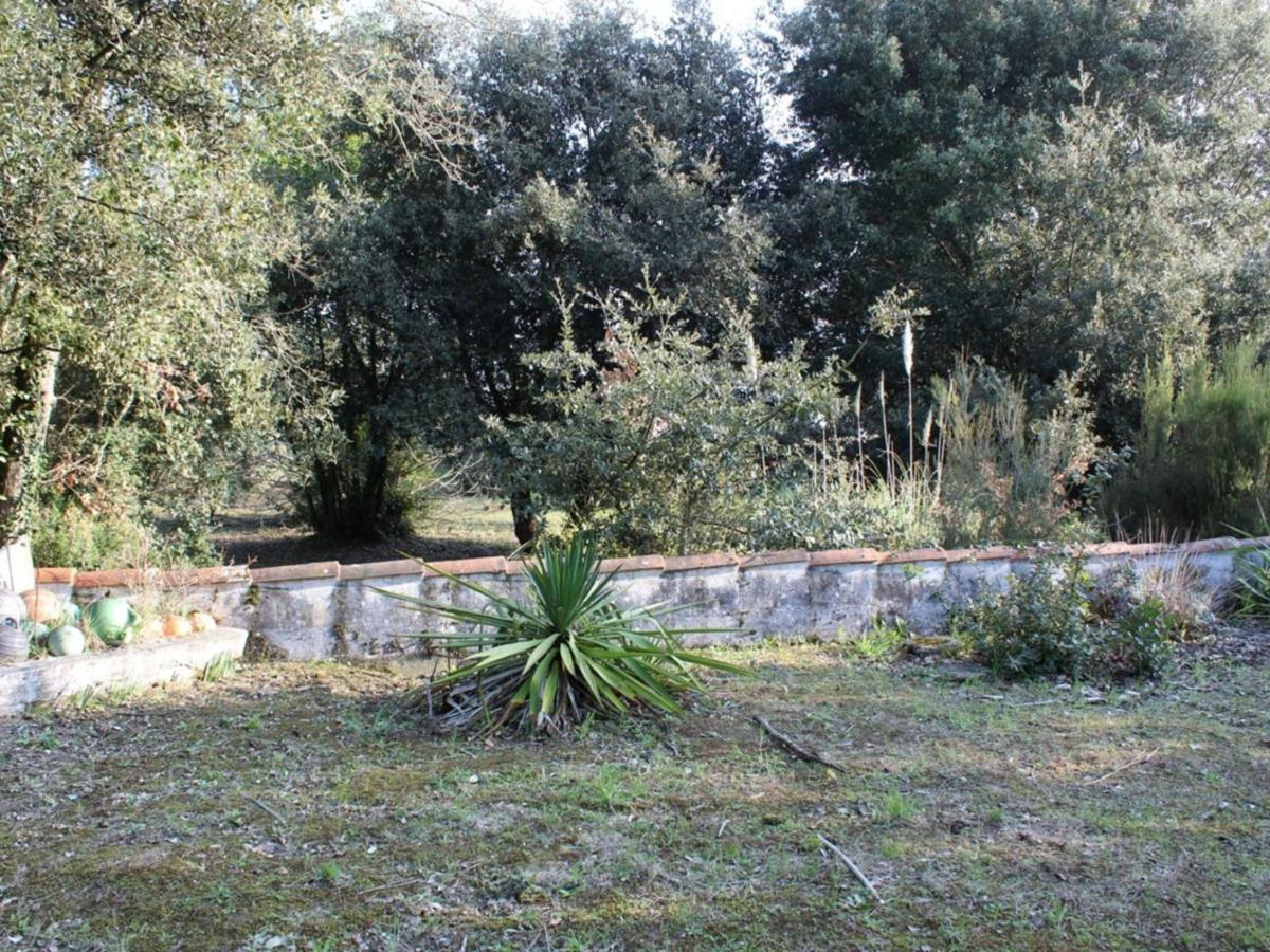 La Cotinière Maison 2 Pieces A Saint-Pierre-D'Oleron, 4 Couchages, Proche Plage, Grand Jardin, Veranda, Calme - Fr-1-246A-367ヴィラ エクステリア 写真